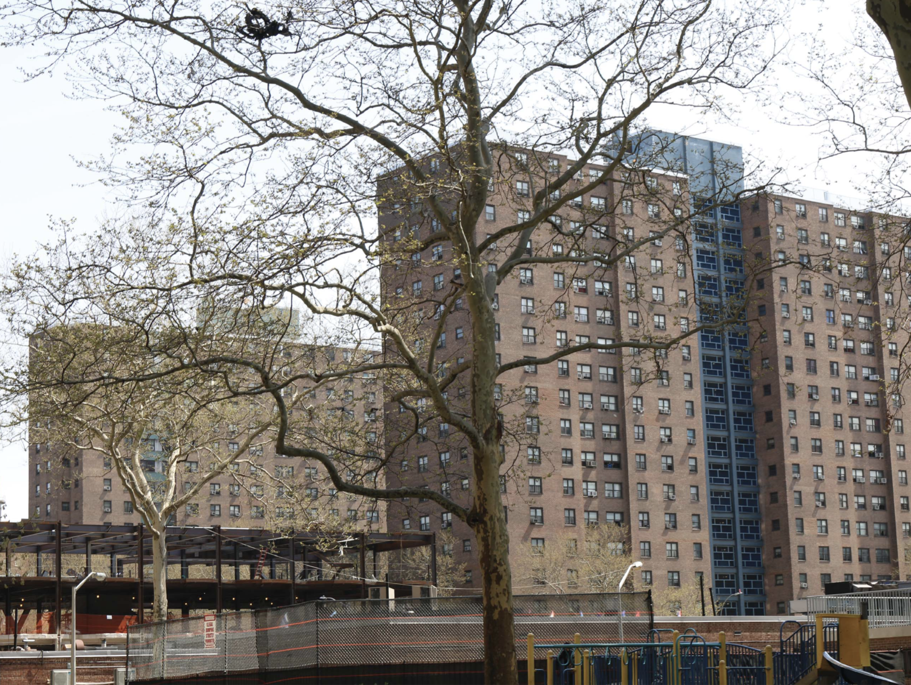 Harlem Units Density